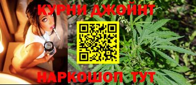 сатива Бузулук